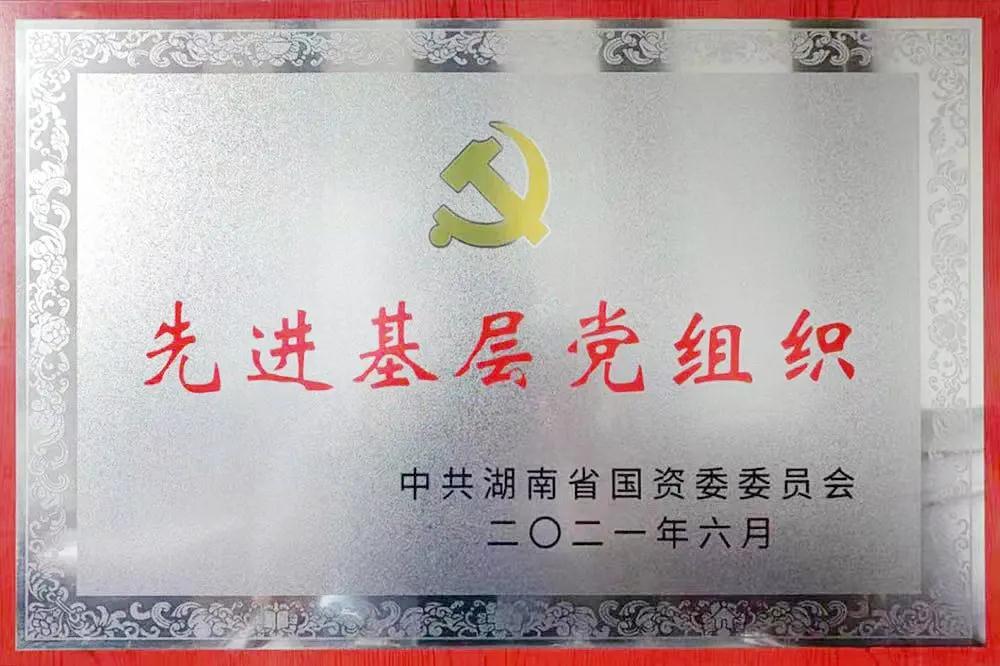 牽引電機黨支部 先進基層黨支部.jpg 牽引電機黨支部 先進基層黨支部.jpg